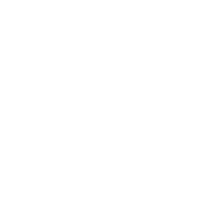 Tizro Store logo
